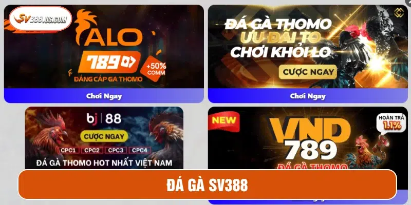 Cá cược đá gà với nhiều sự lựa chọn tại SV388